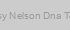 Jesy Nelson Dna Tour