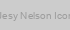 Jesy Nelson Icon