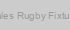 Wales Rugby Fixtures