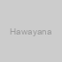 Hawayana
