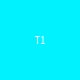 T1