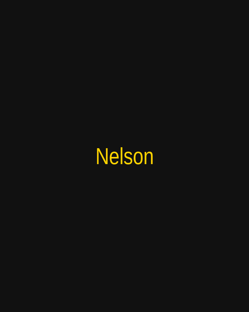 Nelson AI operator