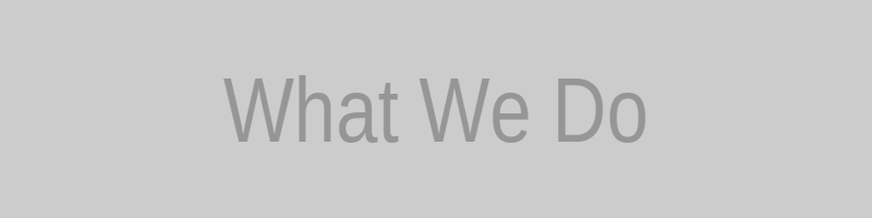 What We Do