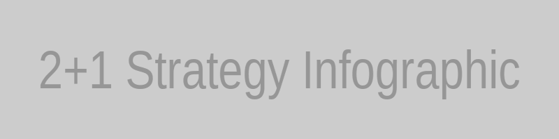 2+1 Strategy Infographic