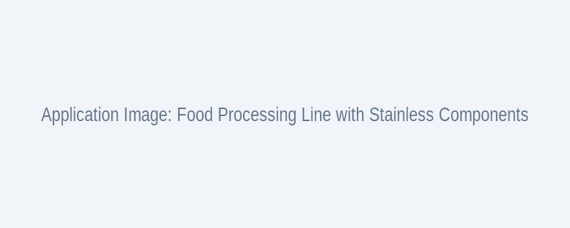 Stainless steel components in food processing line