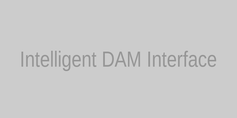 Intelligent Digital Asset Management Interface