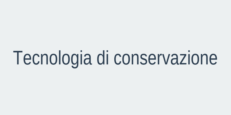 Tecnologia di conservazione digitale