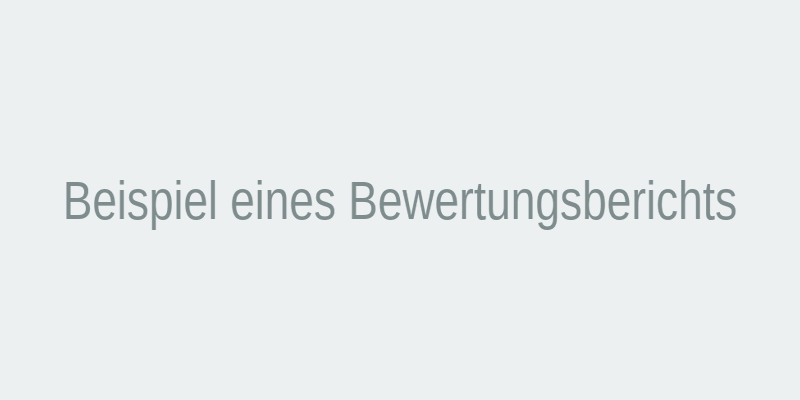 Beispiel für eine Bewertung