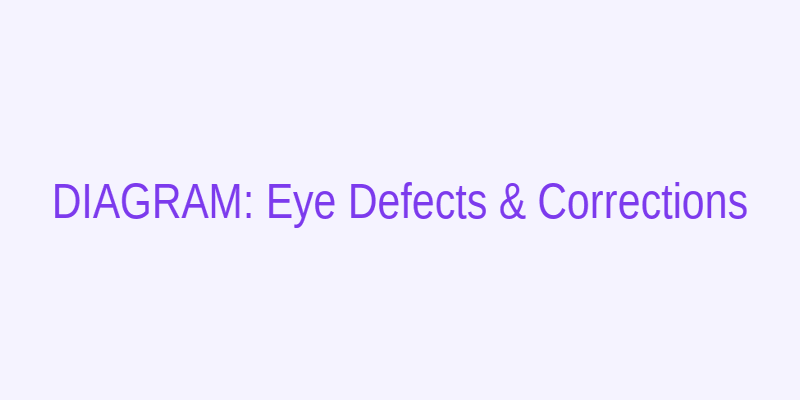 BSEB 2024 Physics — Myopia and hypermetropia with correction lenses