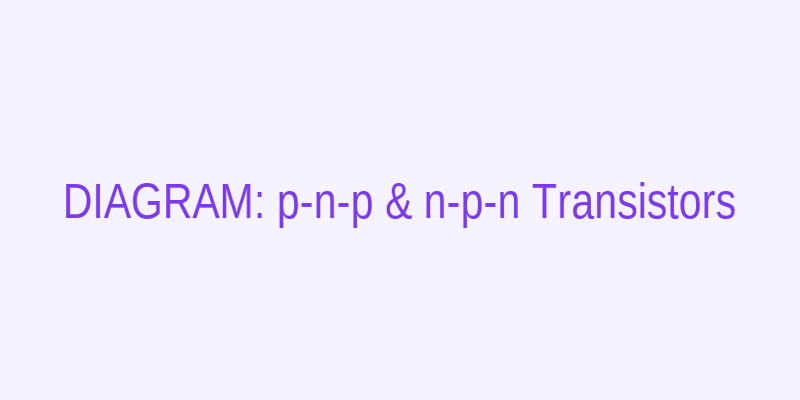 BSEB 2024 Physics — p-n-p and n-p-n transistor diagrams with carrier flow