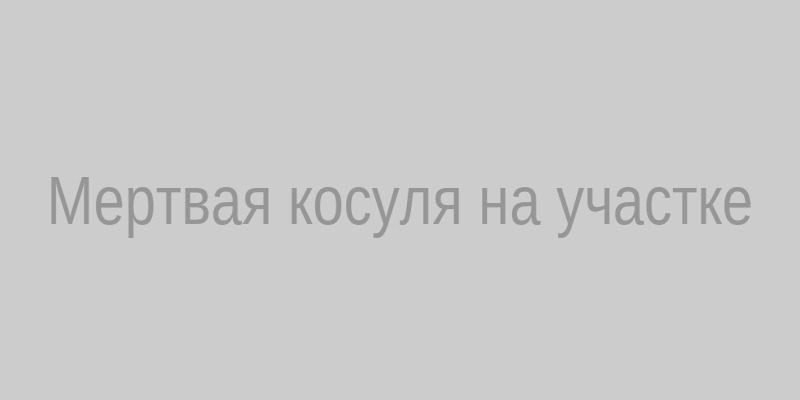 Мертвая косуля на участке