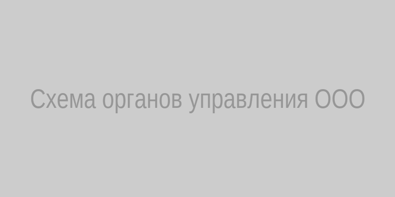 Схема органов управления ООО