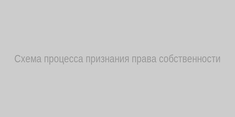 Схема процесса признания права собственности