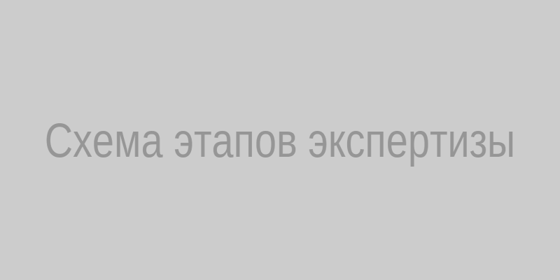 Схема этапов экспертизы