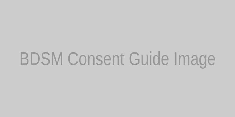 BDSM同意指南插图
