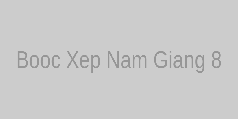 Dịch vụ bốc xếp Nam Giang - Ảnh 8