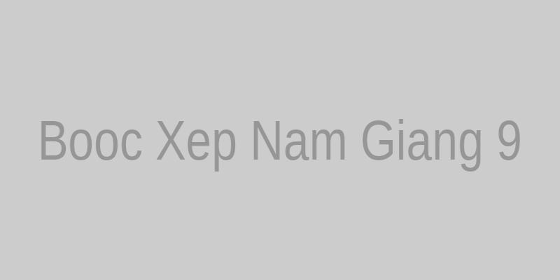Dịch vụ bốc xếp Nam Giang - Ảnh 9