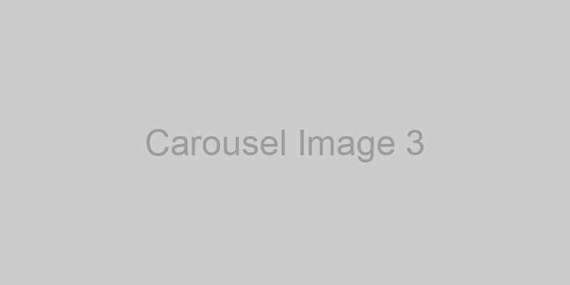 Carousel Image 3