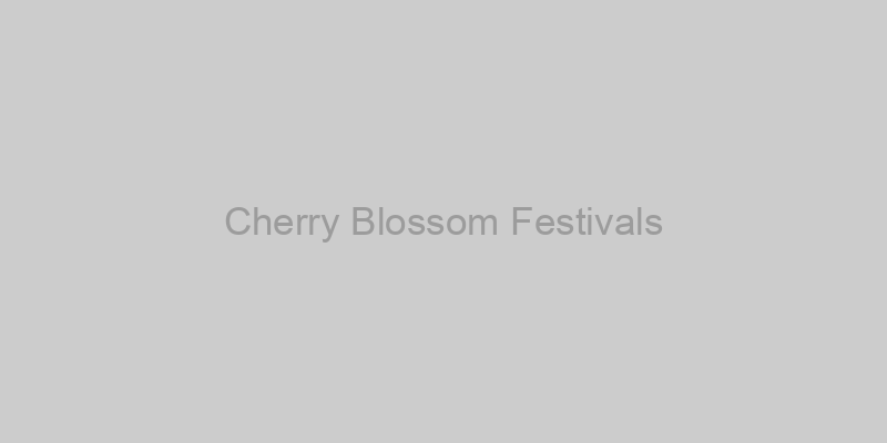 Cherry Blossom Festivals