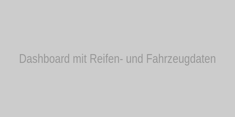 Dashboard mit Reifen- und Fahrzeugdaten