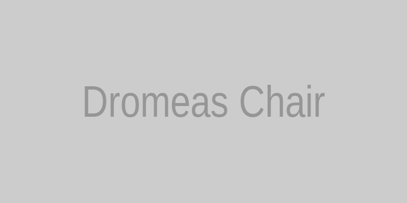 Εργονομική καρέκλα γραφείου ΔΡΟΜΕΑ