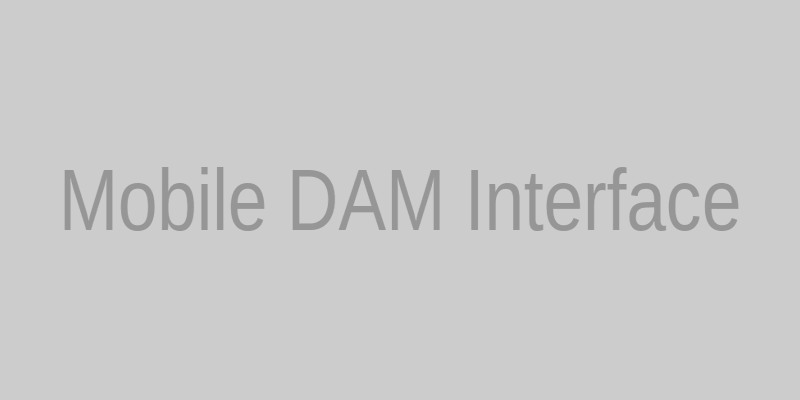 Mobile digital asset management interface