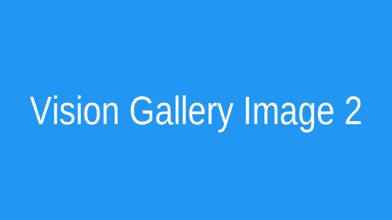 Vision Gallery 2