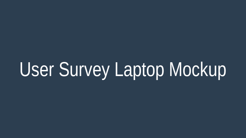 User Survey