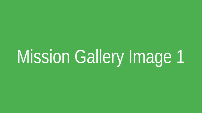 Mission Gallery 1