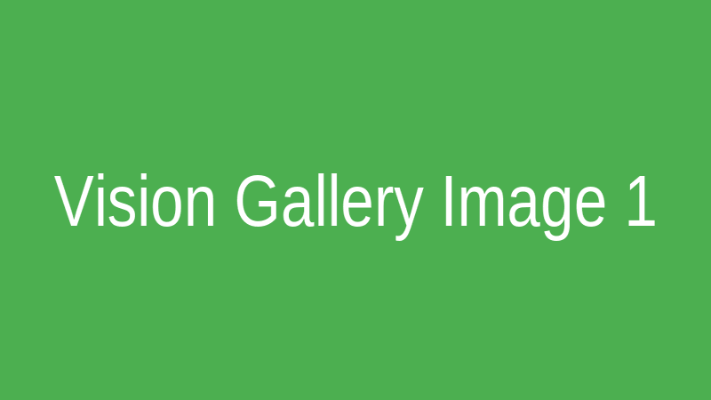Vision Gallery 1