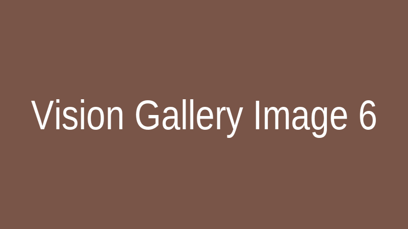Vision Gallery 6