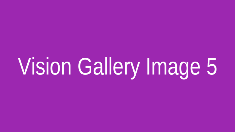 Vision Gallery 5