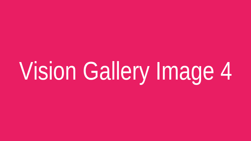 Vision Gallery 4