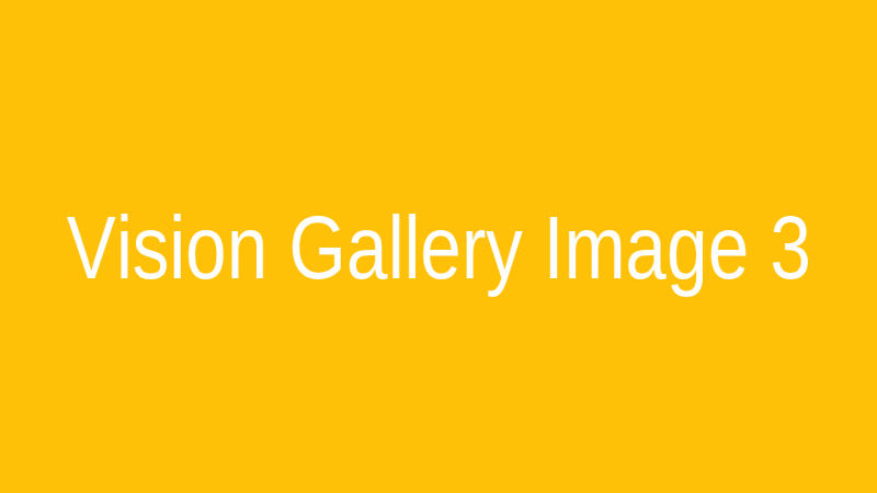 Vision Gallery 3