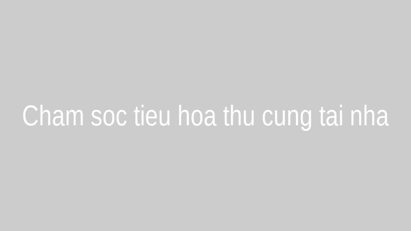 Chăm sóc tiêu hóa cho thú cưng tại nhà