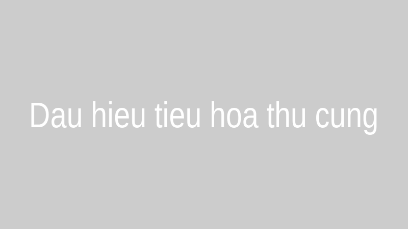 Thú cưng có dấu hiệu rối loạn tiêu hóa