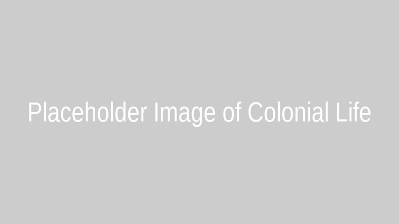 Artist's rendering of a colonial family engaged in daily chores outside a modest home.