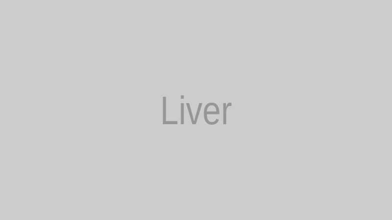 レバニラ炒めの料理画像