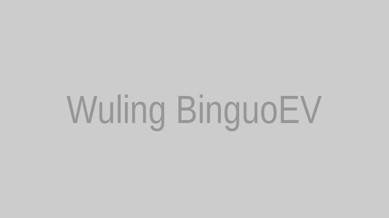 Wuling BinguoEV