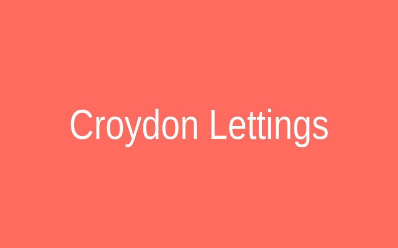 Croydon Lettings website case study