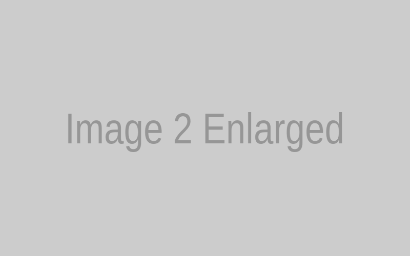 Image 2 Enlarged