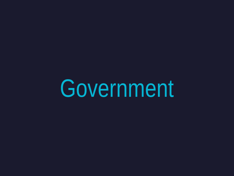 Government