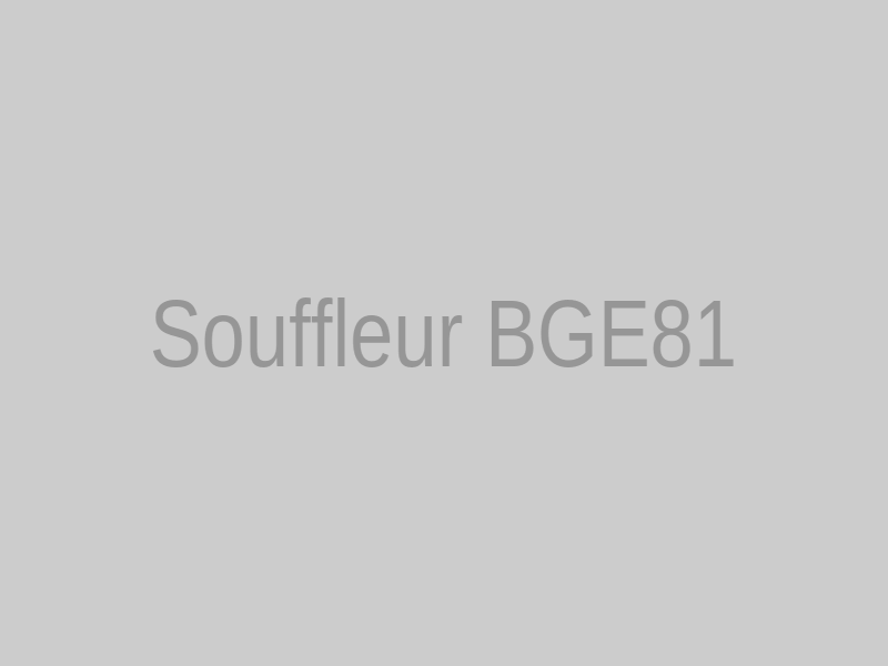 Souffleur électrique BGE81 STIHL en action