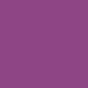 Warm Plum Purple