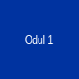 Ödül 1