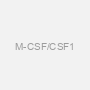M-CSF/CSF1