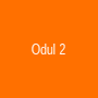 Ödül 2